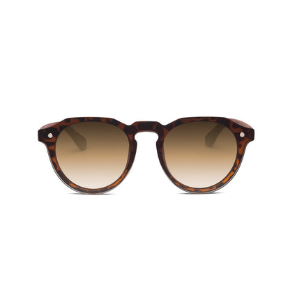 fa napszemüveg classytwist brown