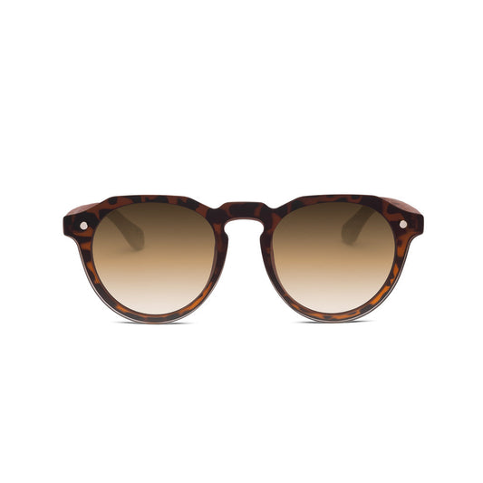 fa napszemüveg classytwist brown